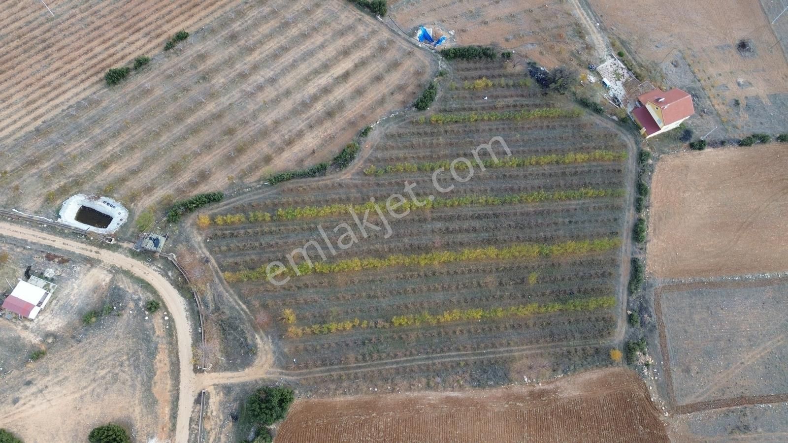 Vip Gayrimenkul'den Kışla Mah. 9.700m² Elma Bahçesi - Görsel 27