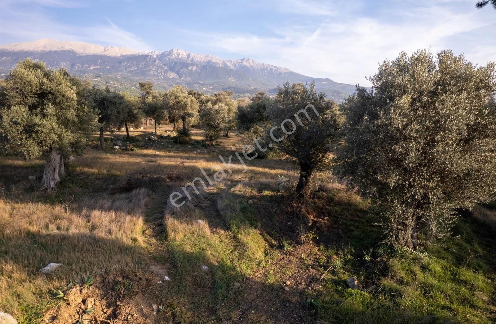 Girmelerde 2865m2 Arazi ,kadastrol Yol +anayol'a 1 Parsel Mesafe - Görsel 9