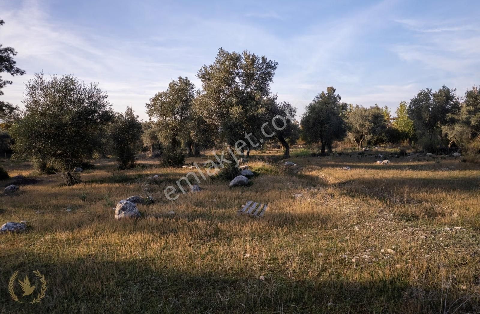 Girmelerde 2865m2 Arazi ,kadastrol Yol +anayol'a 1 Parsel Mesafe - Görsel 12