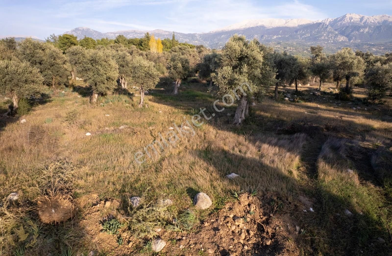 Girmelerde 2865m2 Arazi ,kadastrol Yol +anayol'a 1 Parsel Mesafe - Görsel 6