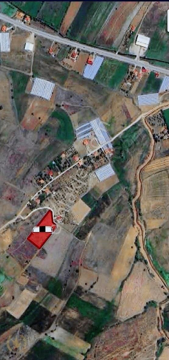 Seydikemer Seki Girişi Yayla Ceylan 5500mt Müstakil Yer Satılık - Görsel 21