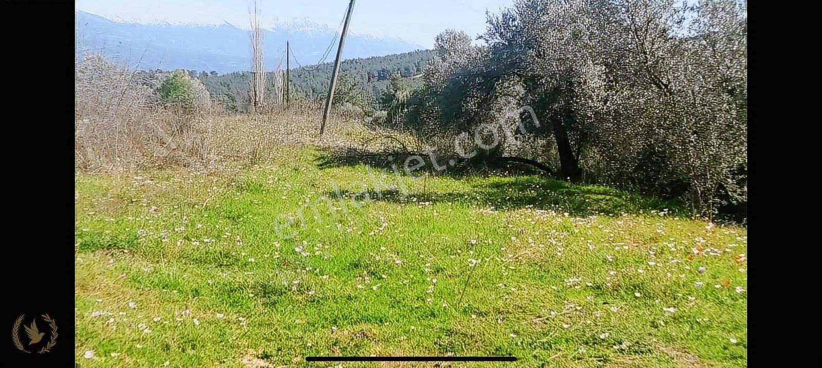 Fethiye Üzümlü Ecebeli Sazak Mevki 2250mt Mülk Satılık - Görsel 3