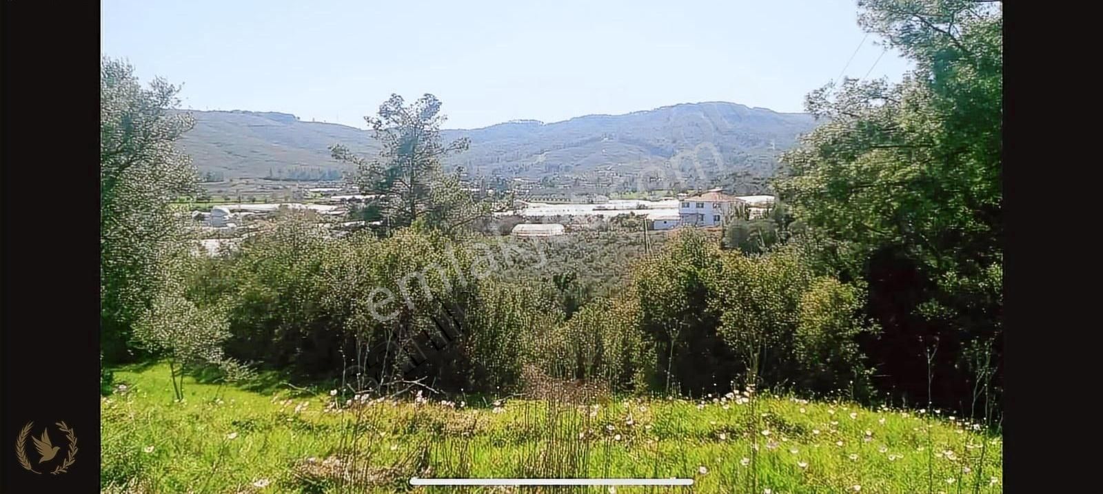 Fethiye Üzümlü Ecebeli Sazak Mevki 2250mt Mülk Satılık - Görsel 14