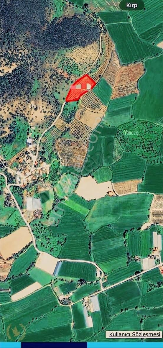 Seydikemer Güneşli Gültepe Mevki 6400mt Zeytin Bahçesi Satılık - Görsel 2
