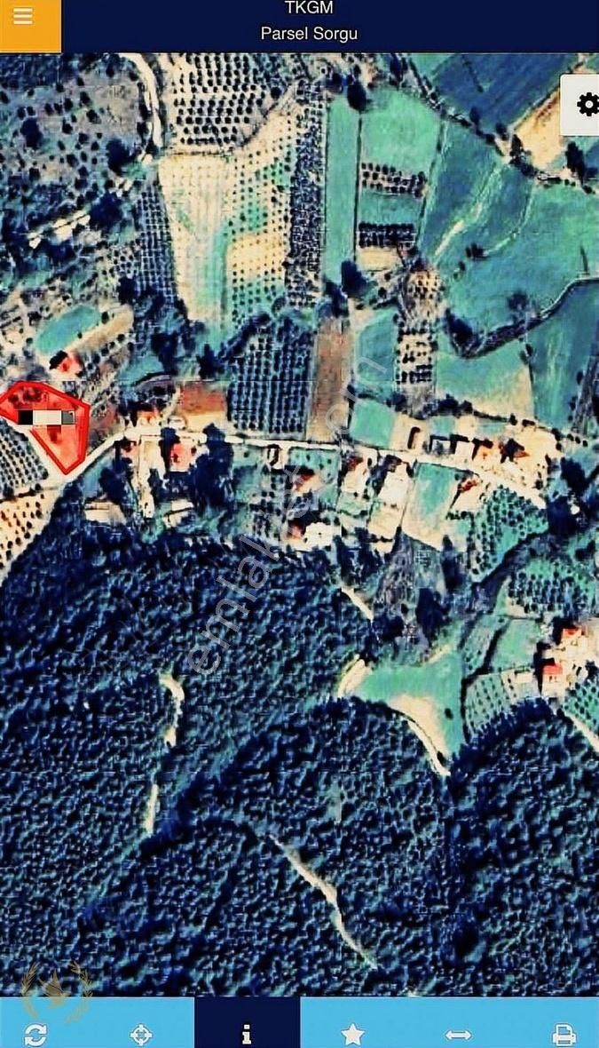 Seydikemer'in İlk Köyü Seydiler Köy Evleri Yanı 1650mt Mülk Sat - Görsel 4