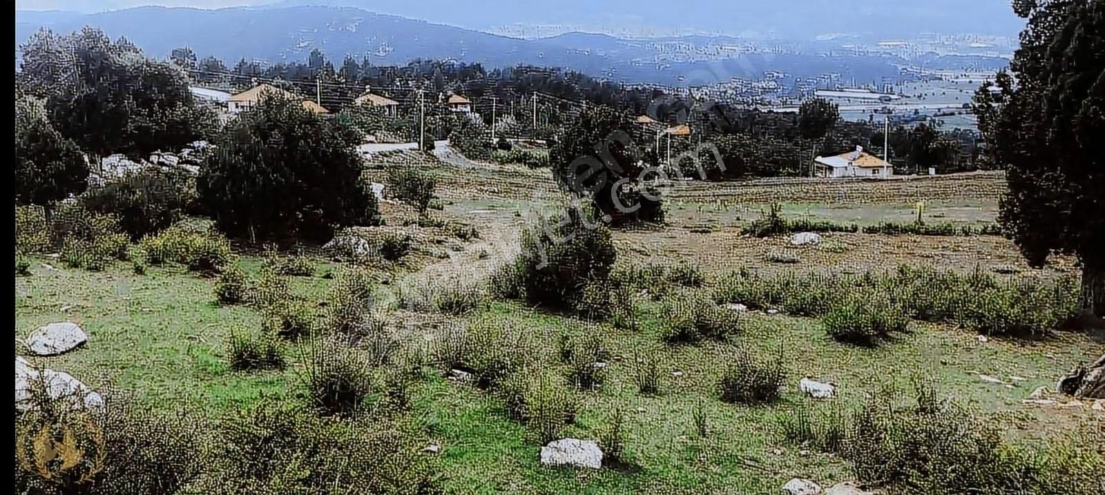 Seki Üstü Yayla Boğalar Merkezde 640mt Arsa Satılıktır - Görsel 25