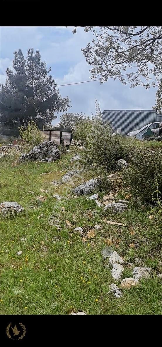 Seki Üstü Yayla Boğalar Merkezde 640mt Arsa Satılıktır - Görsel 23