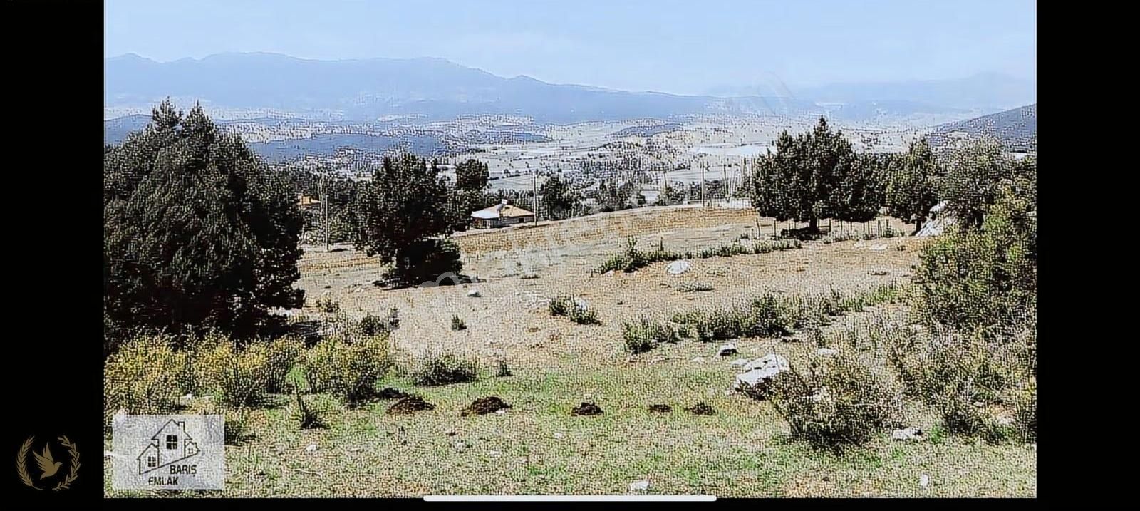 Seki Üstü Yayla Boğalar Merkezde 640mt Arsa Satılıktır - Görsel 9
