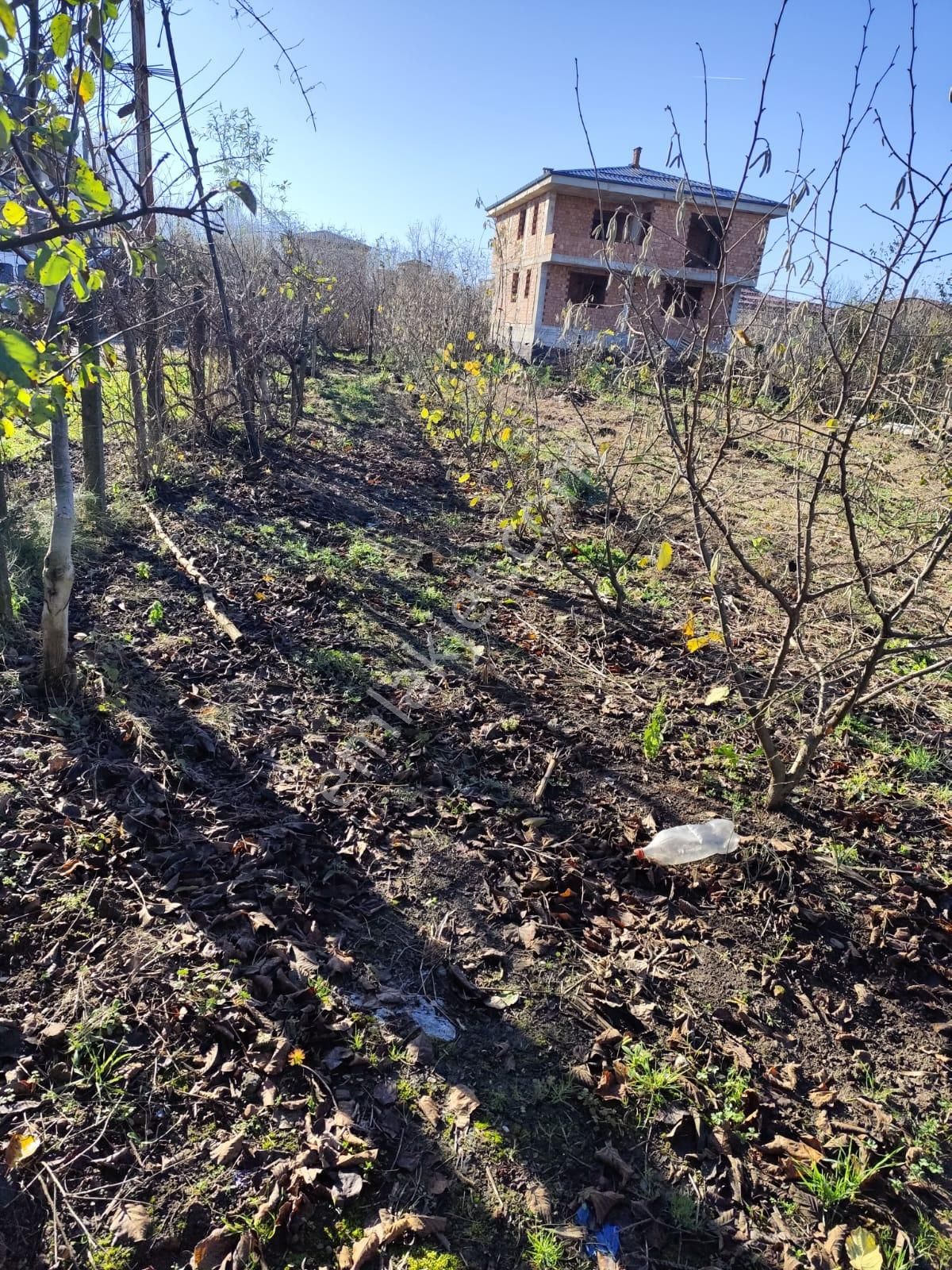 Akgün Kurumsal'dan Çarşamba Hasabahçe'de Kat Karşılığı Arsa - Görsel 4