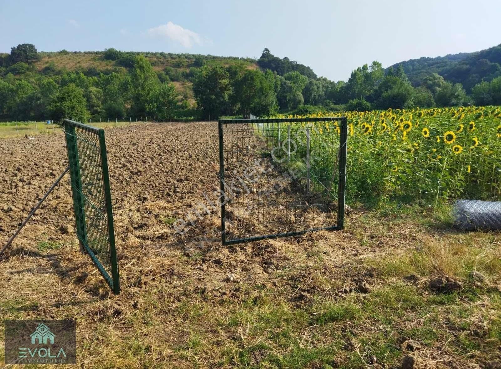 Evola Gym'den Mudanya Yörükyenicesi Köyünde Satılık Tarla - Görsel 4