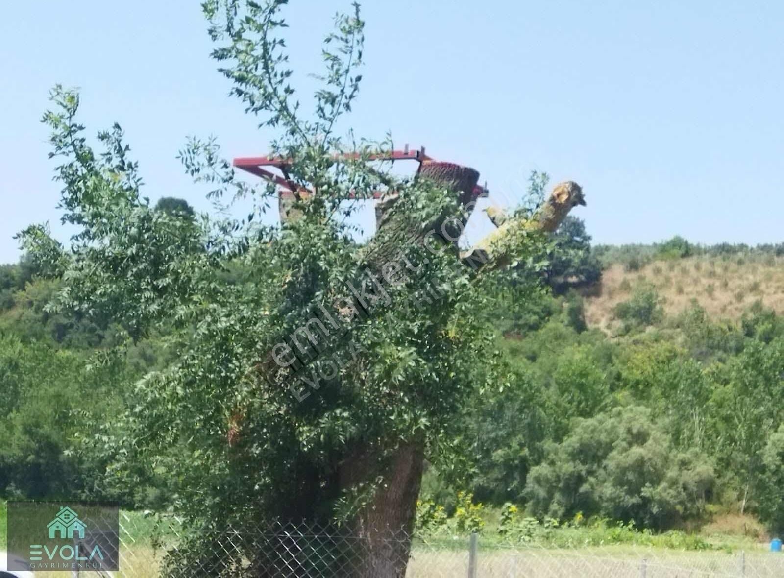 Evola Gym'den Mudanya Yörükyenicesi Köyünde Satılık Tarla - Görsel 2