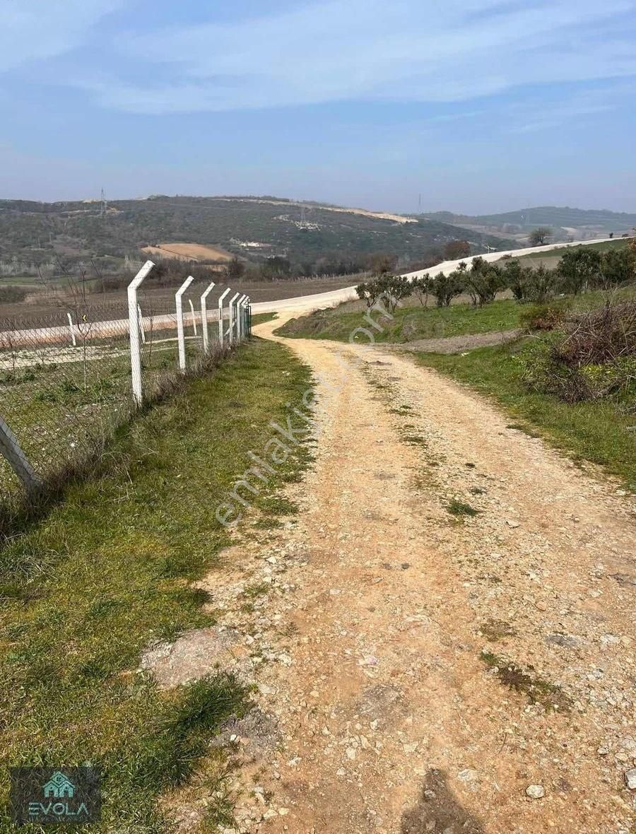 Evola Gayrimenkulden Mudanya'da İçinde Ev Olan Tarla - Görsel 3