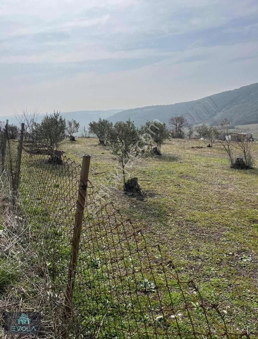 Evola Gayrimenkulden Mudanya'da İçinde Ev Olan Tarla - Görsel 9