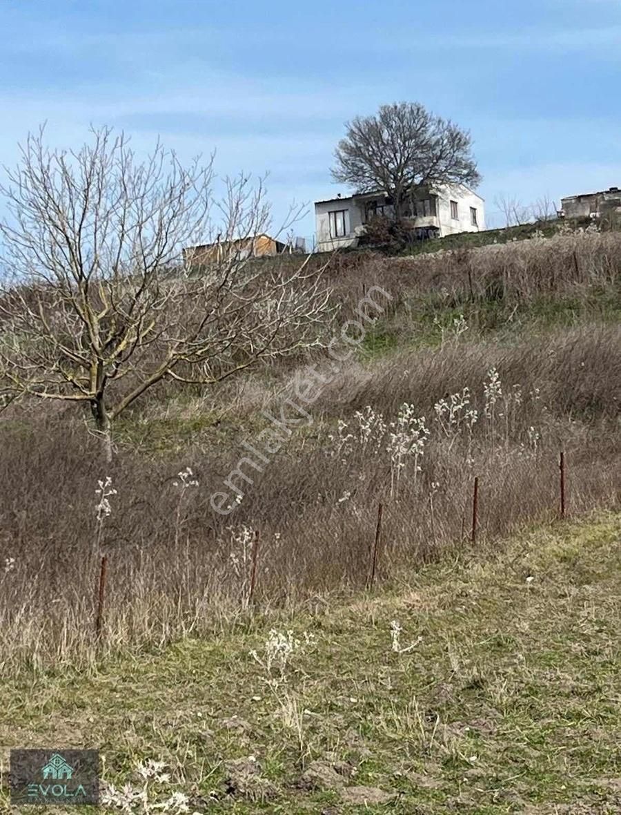 Evola Gayrimenkulden Mudanya'da İçinde Ev Olan Tarla - Görsel 2