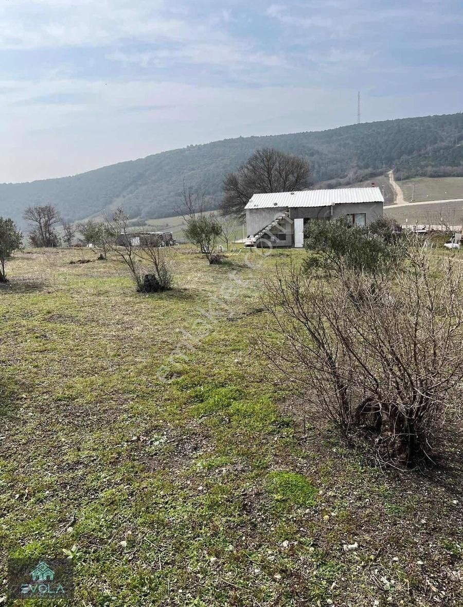 Evola Gayrimenkulden Mudanya'da İçinde Ev Olan Tarla