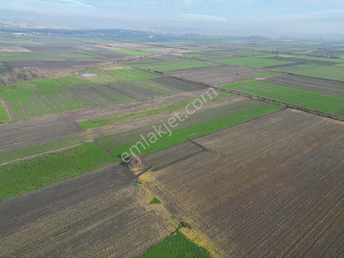 Serdivan Aralıkta Resmi Yola Cephei 4.000 M² Satılık Tarla - Görsel 8