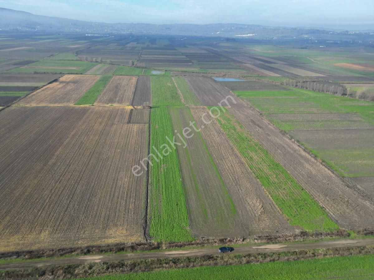 Serdivan Aralıkta Resmi Yola Cephei 4.000 M² Satılık Tarla - Görsel 13