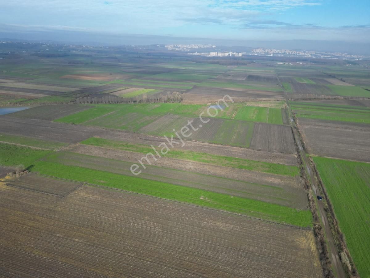 Serdivan Aralıkta Resmi Yola Cephei 4.000 M² Satılık Tarla - Görsel 18