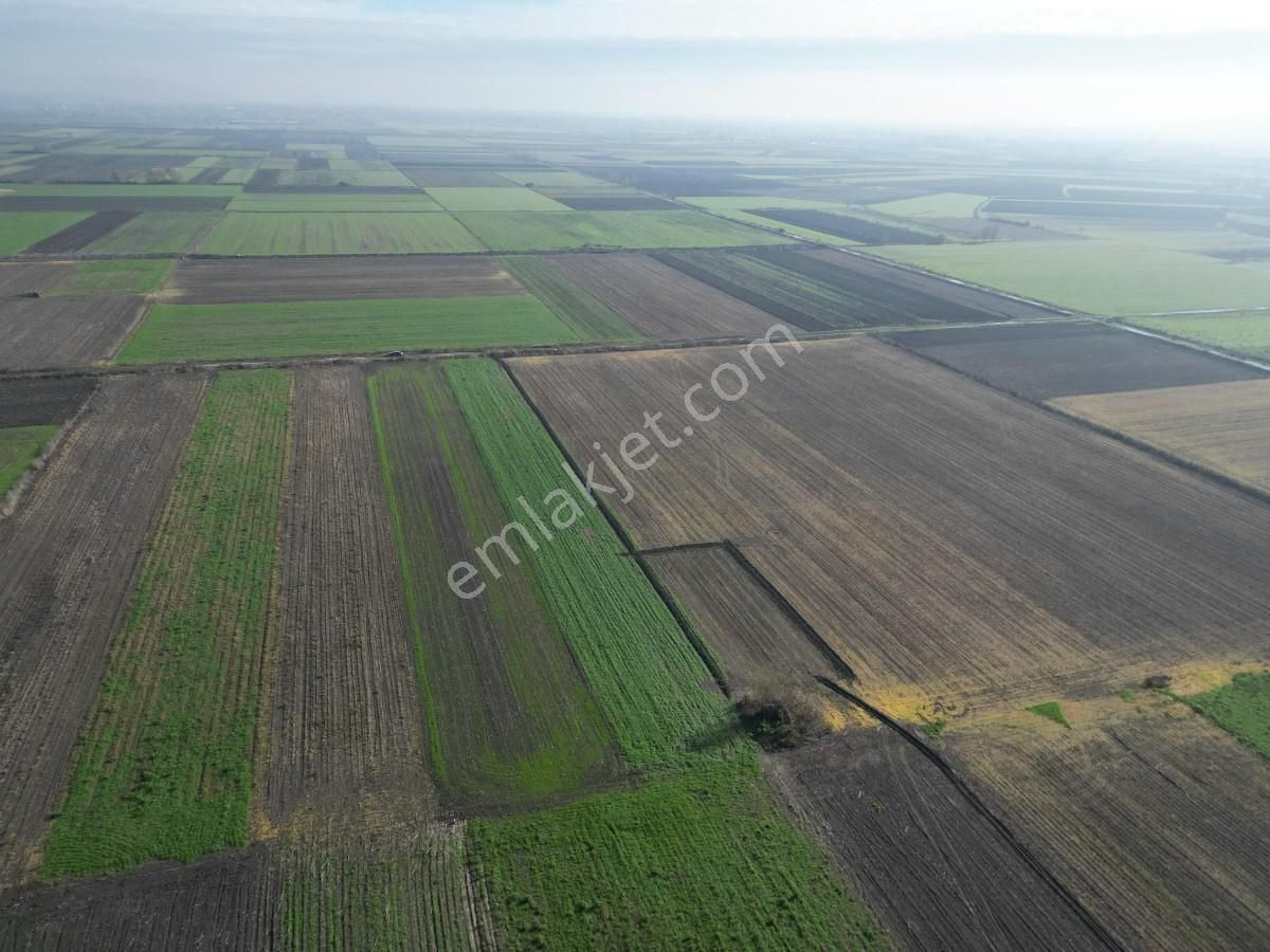 Serdivan Aralıkta Resmi Yola Cephei 4.000 M² Satılık Tarla - Görsel 12