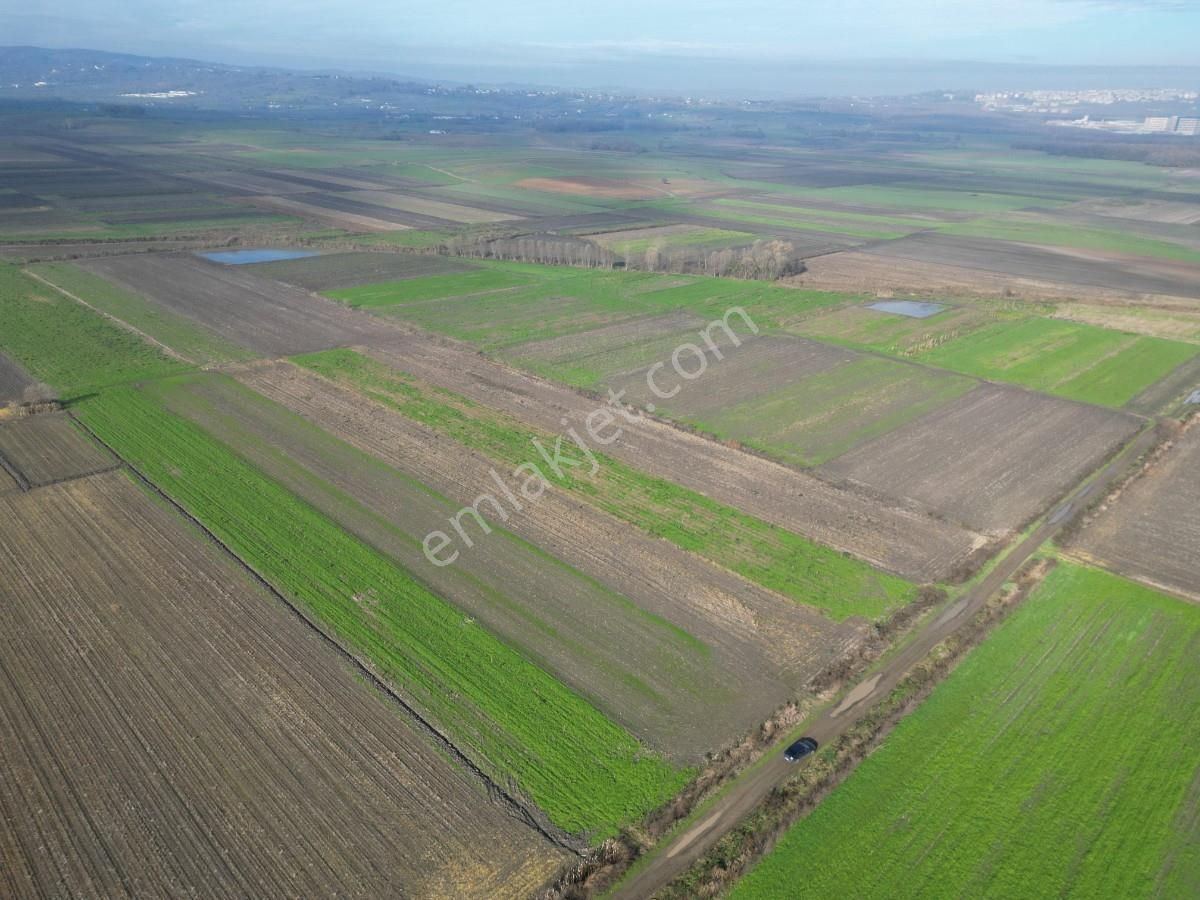 Serdivan Aralıkta Resmi Yola Cephei 4.000 M² Satılık Tarla - Görsel 15