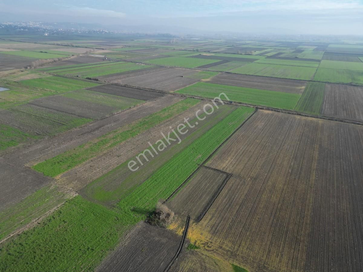 Serdivan Aralıkta Resmi Yola Cephei 4.000 M² Satılık Tarla - Görsel 9