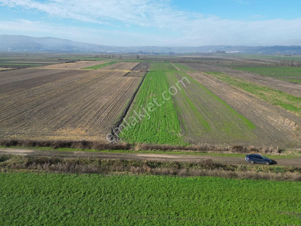 Serdivan Aralıkta Resmi Yola Cephei 4.000 M² Satılık Tarla - Görsel 3