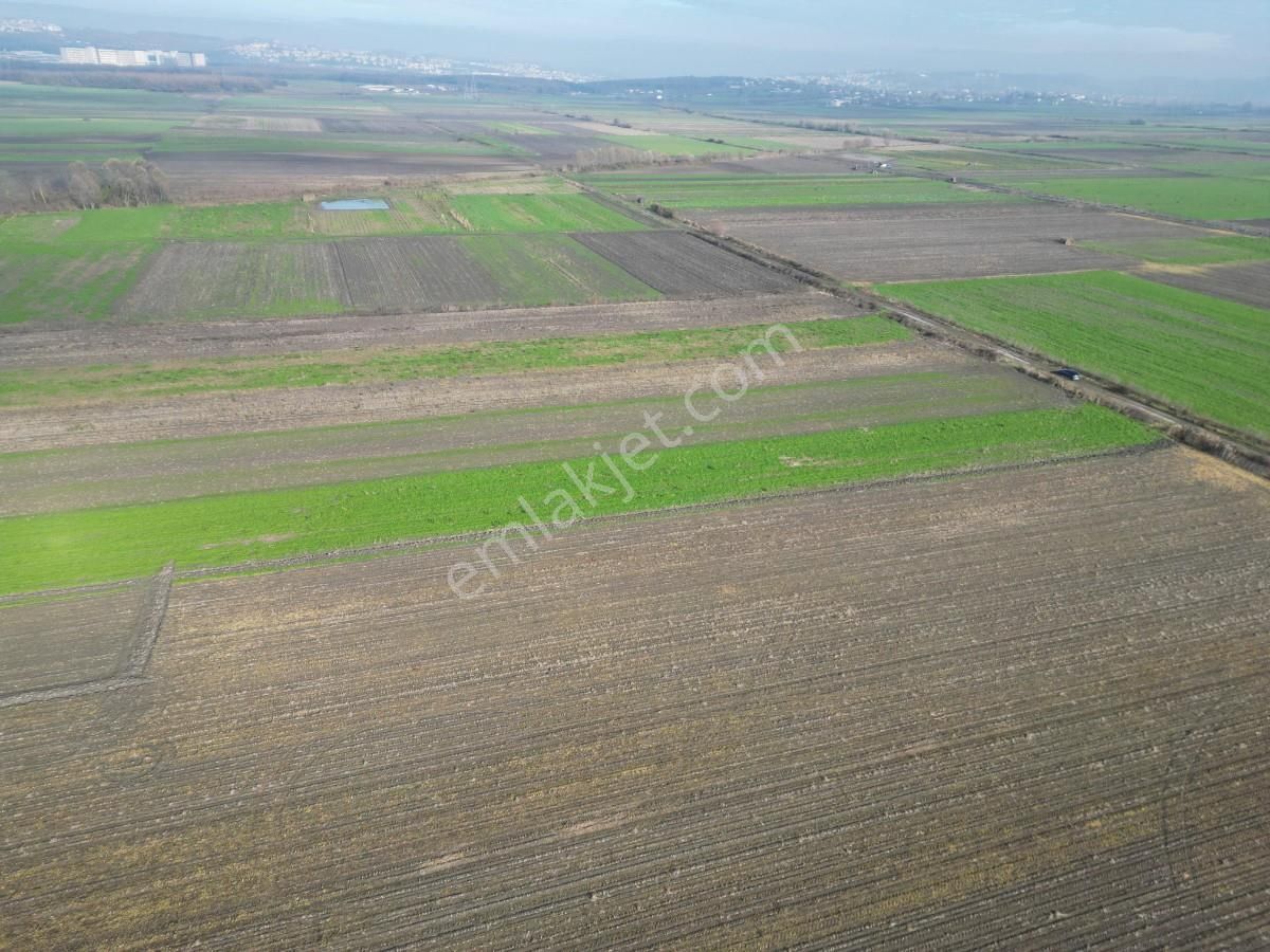 Serdivan Aralıkta Resmi Yola Cephei 4.000 M² Satılık Tarla - Görsel 4