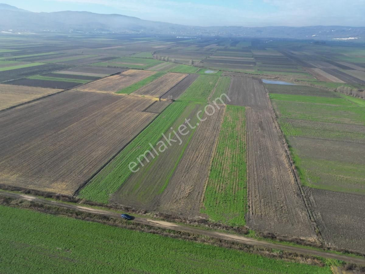 Serdivan Aralıkta Resmi Yola Cephei 4.000 M² Satılık Tarla - Görsel 16