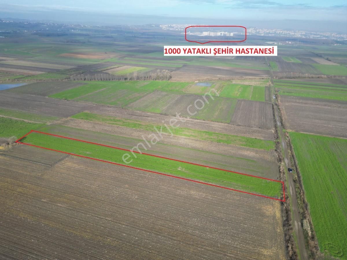 Serdivan Aralıkta Resmi Yola Cephei 4.000 M² Satılık Tarla - Görsel 17