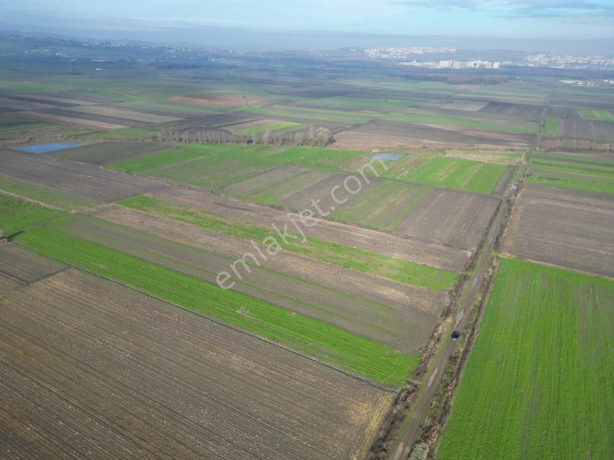 Serdivan Aralıkta Resmi Yola Cephei 4.000 M² Satılık Tarla - Görsel 21