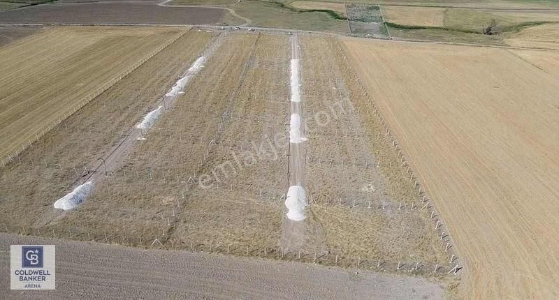 Ankaranın Bahçe Cenneti Gölbaşı İkizcede 500 M2 Bahçe - Görsel 8