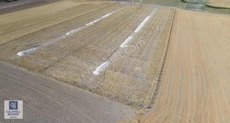 Ankaranın Bahçe Cenneti Gölbaşı İkizcede 500 M2 Bahçe - Görsel 7