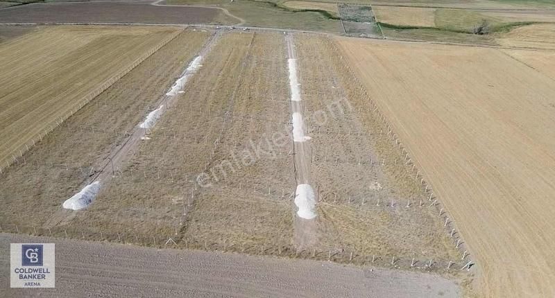 Ankaranın Bahçe Cenneti Gölbaşı İkizcede 500 M2 Bahçe - Görsel 4