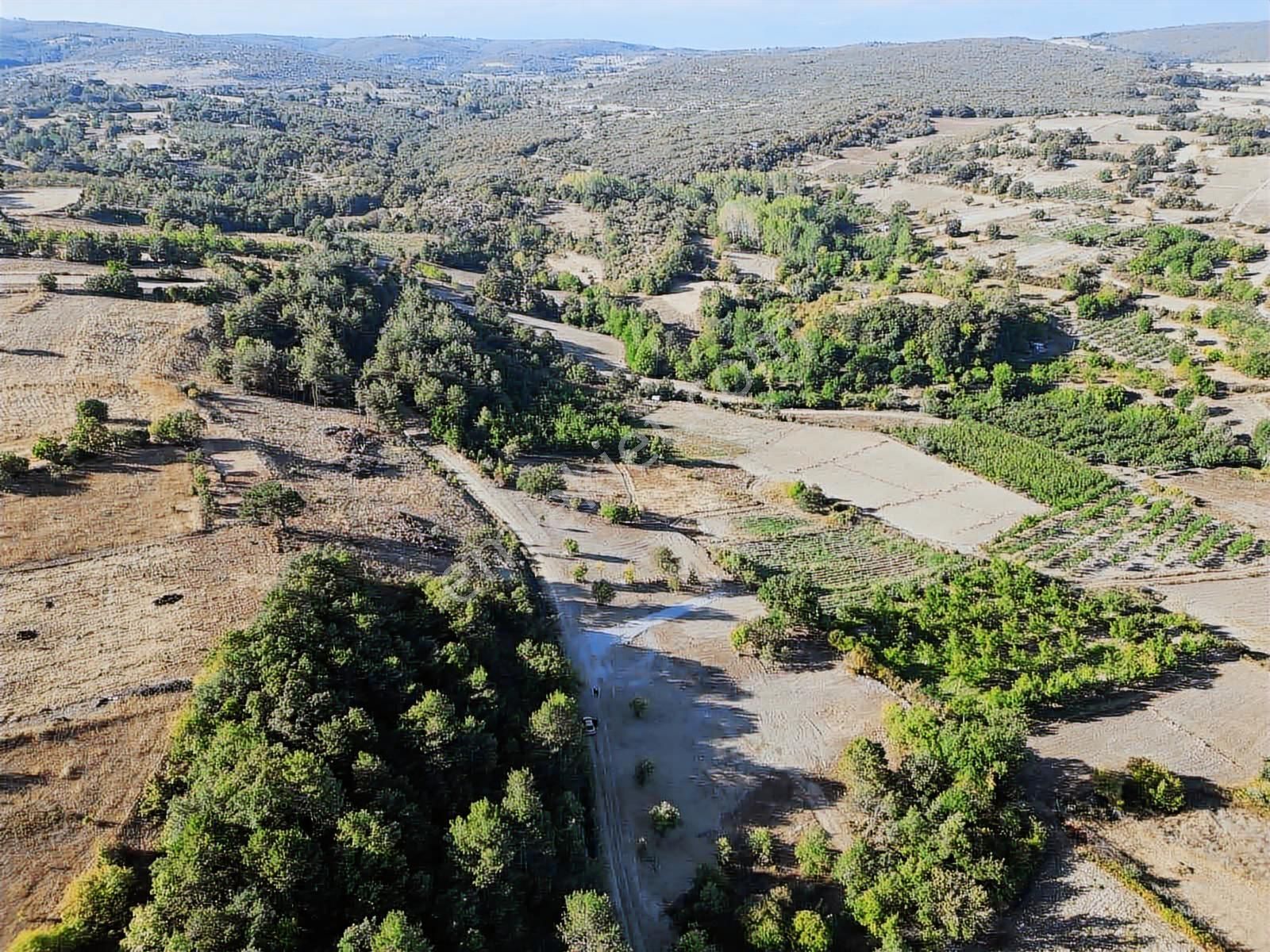 Blue Life Elit'den Yenişehir Akbıyık'da Satılık Hobi Bahçesi - Görsel 13