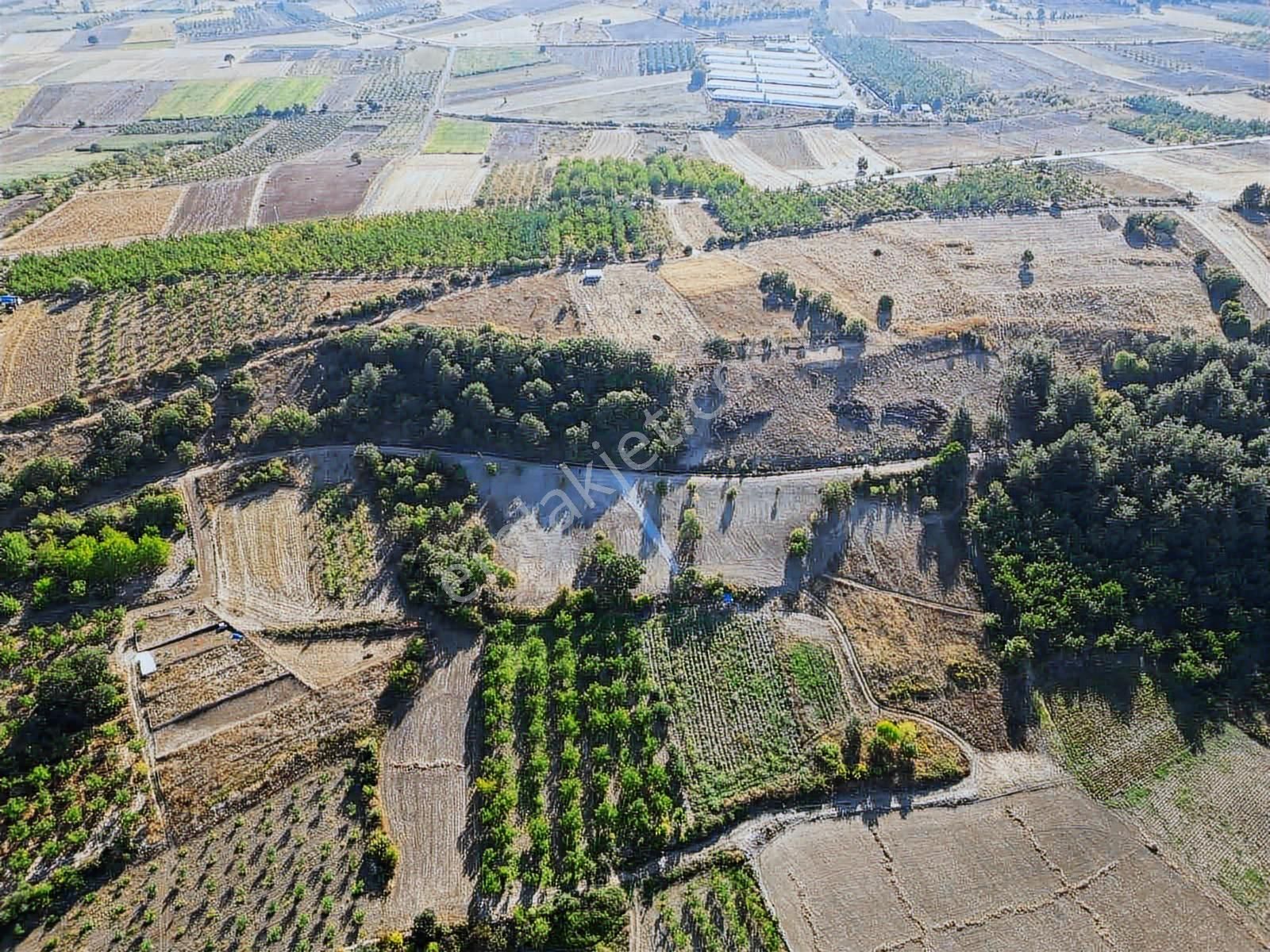 Blue Life Elit'den Yenişehir Akbıyık'da Satılık Hobi Bahçesi - Görsel 29