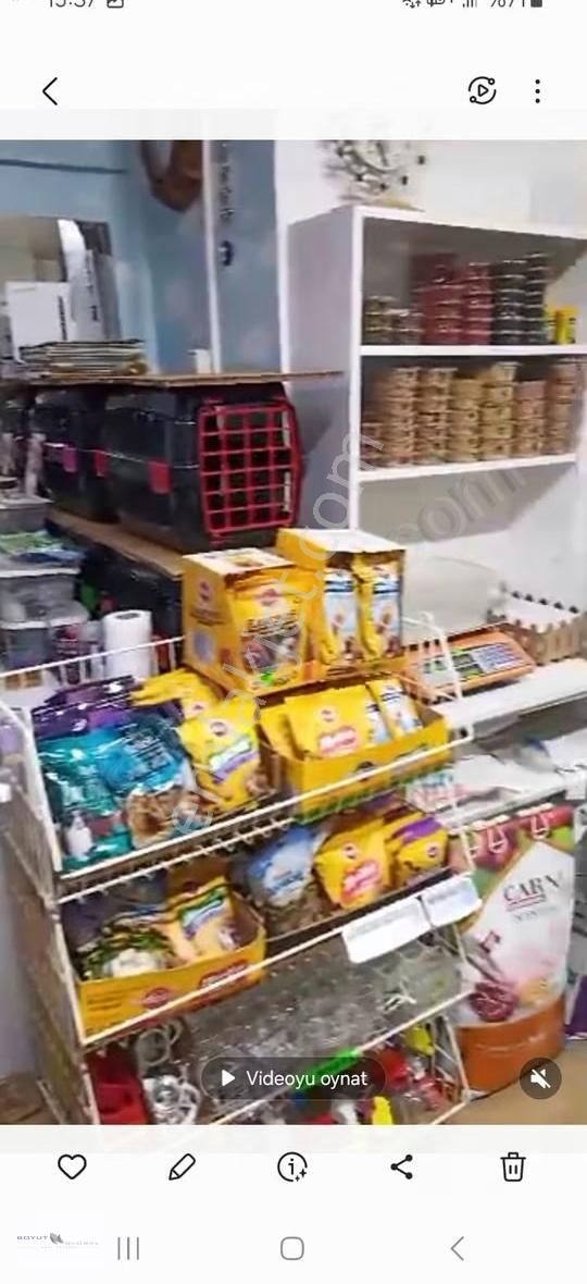 Boyut Global'den Çarşı Merkez Cd. Üzerinde Yüksek Cirolu Petshop - Görsel 4