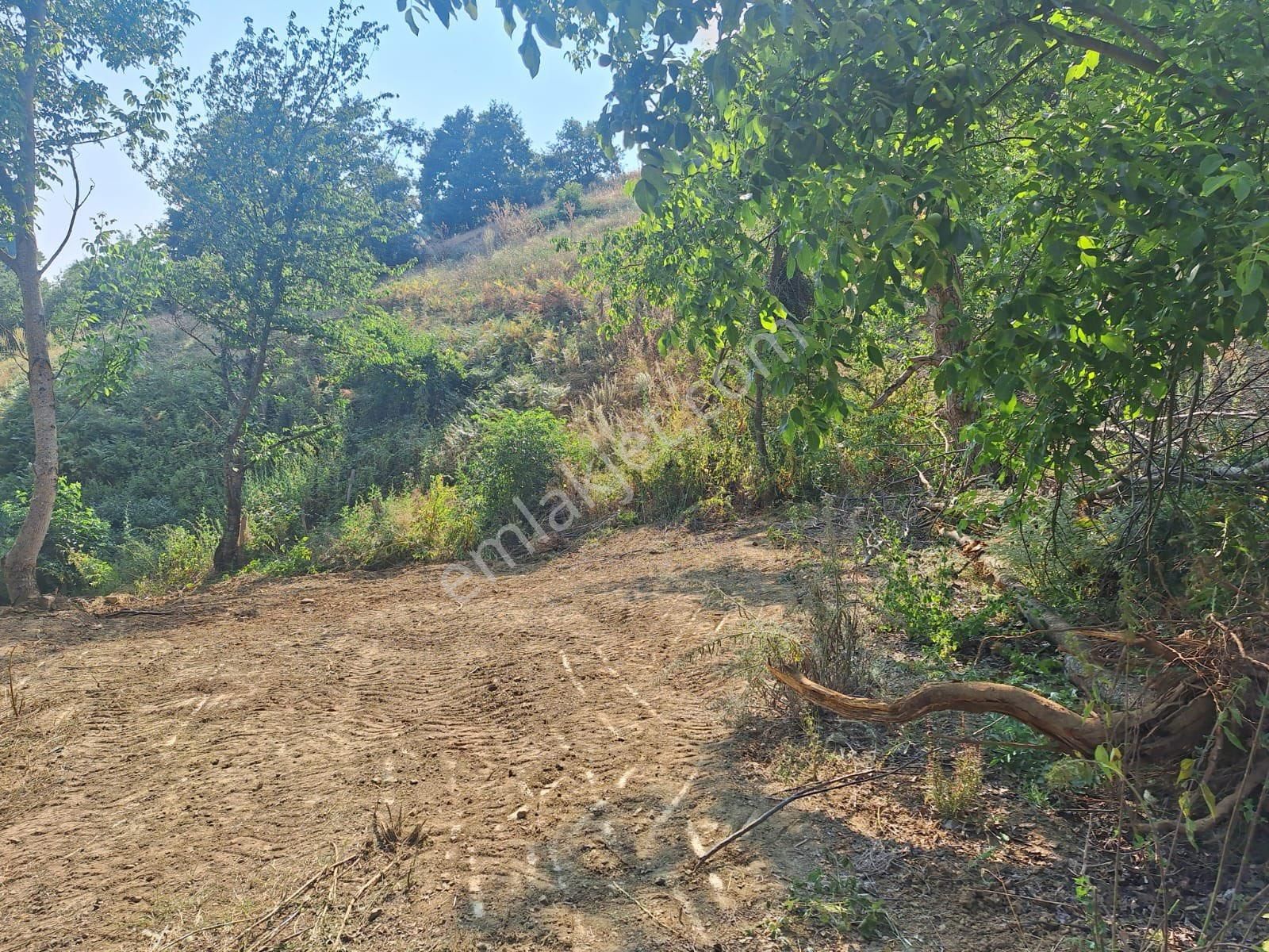 Berkay Emlaktan İmarlı Bahçe - Görsel 16