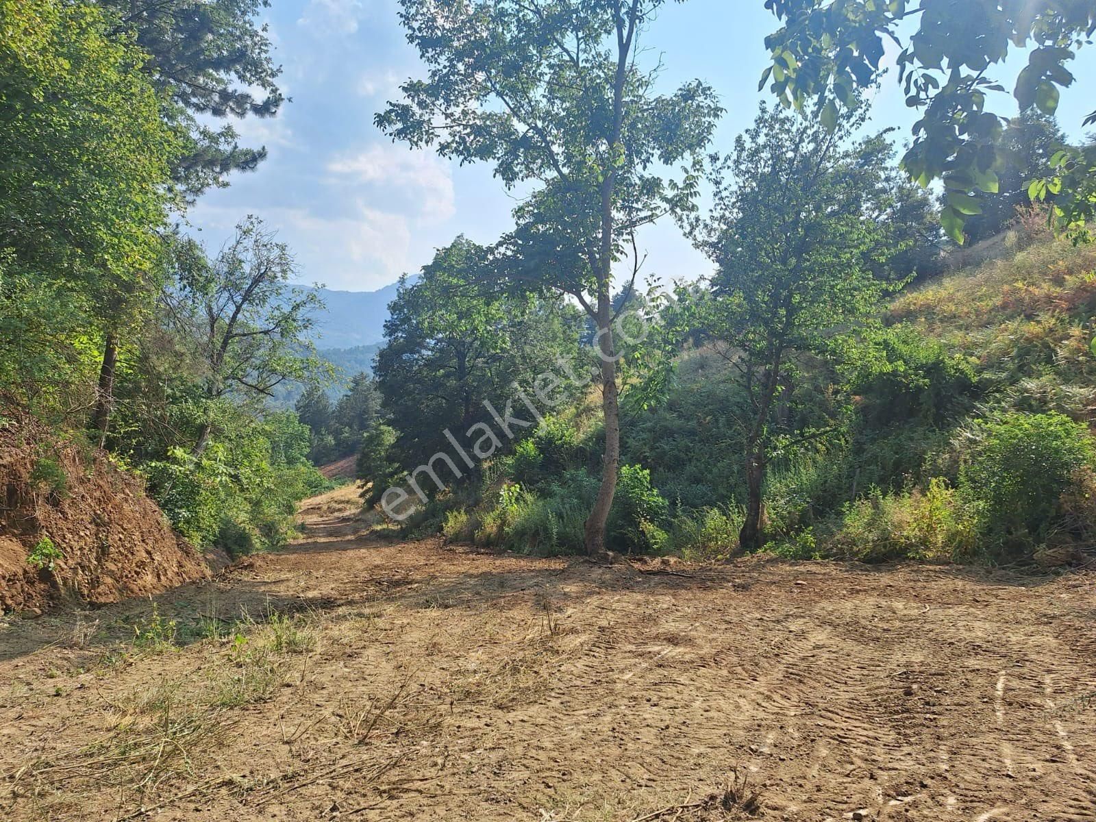 Berkay Emlaktan İmarlı Bahçe - Görsel 11