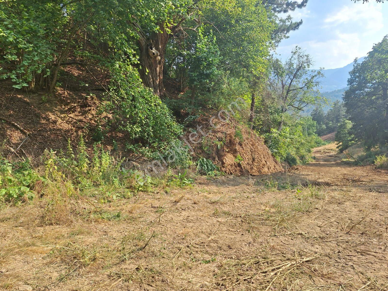 Berkay Emlaktan İmarlı Bahçe - Görsel 15