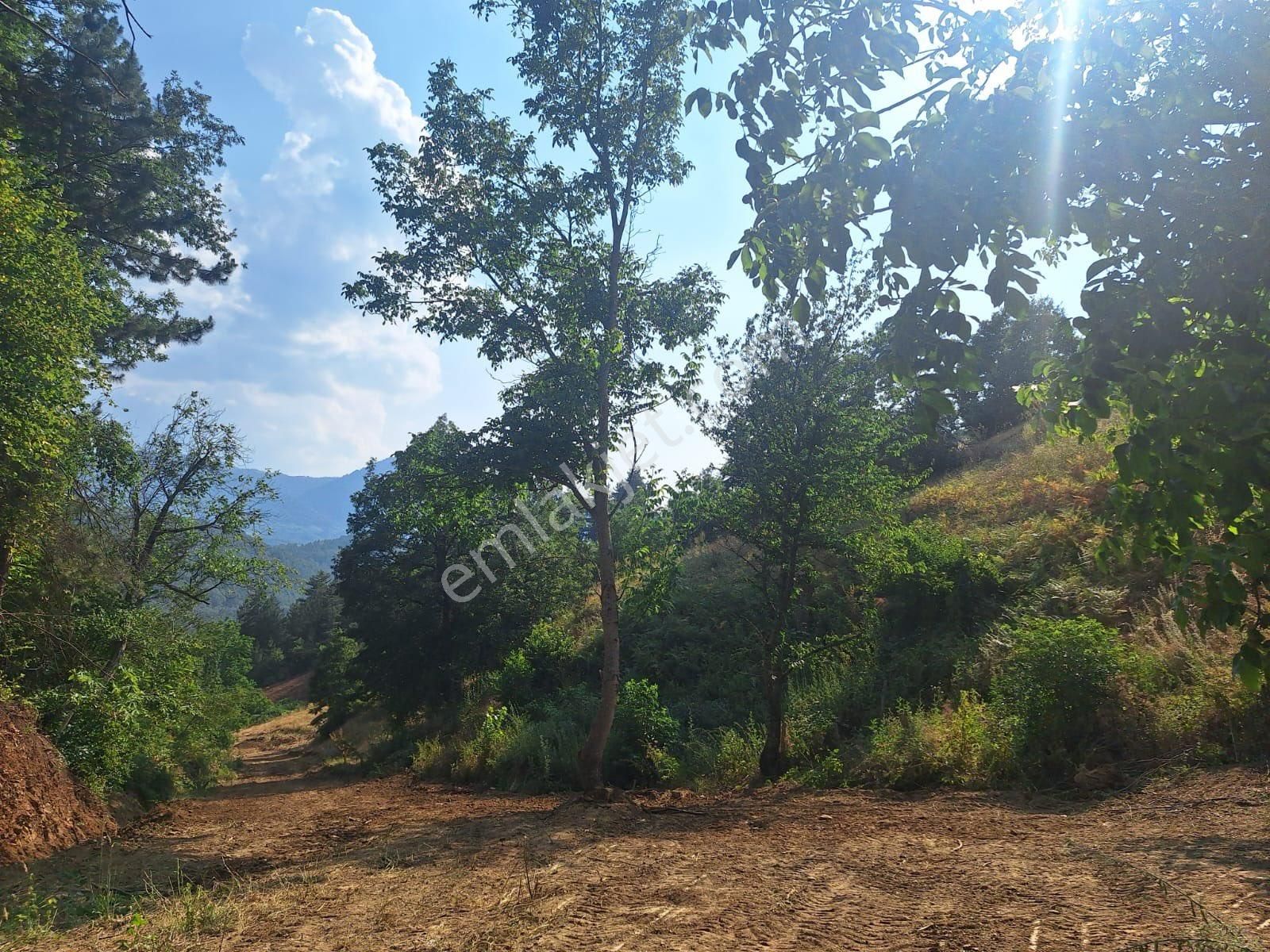 Berkay Emlaktan İmarlı Bahçe - Görsel 5