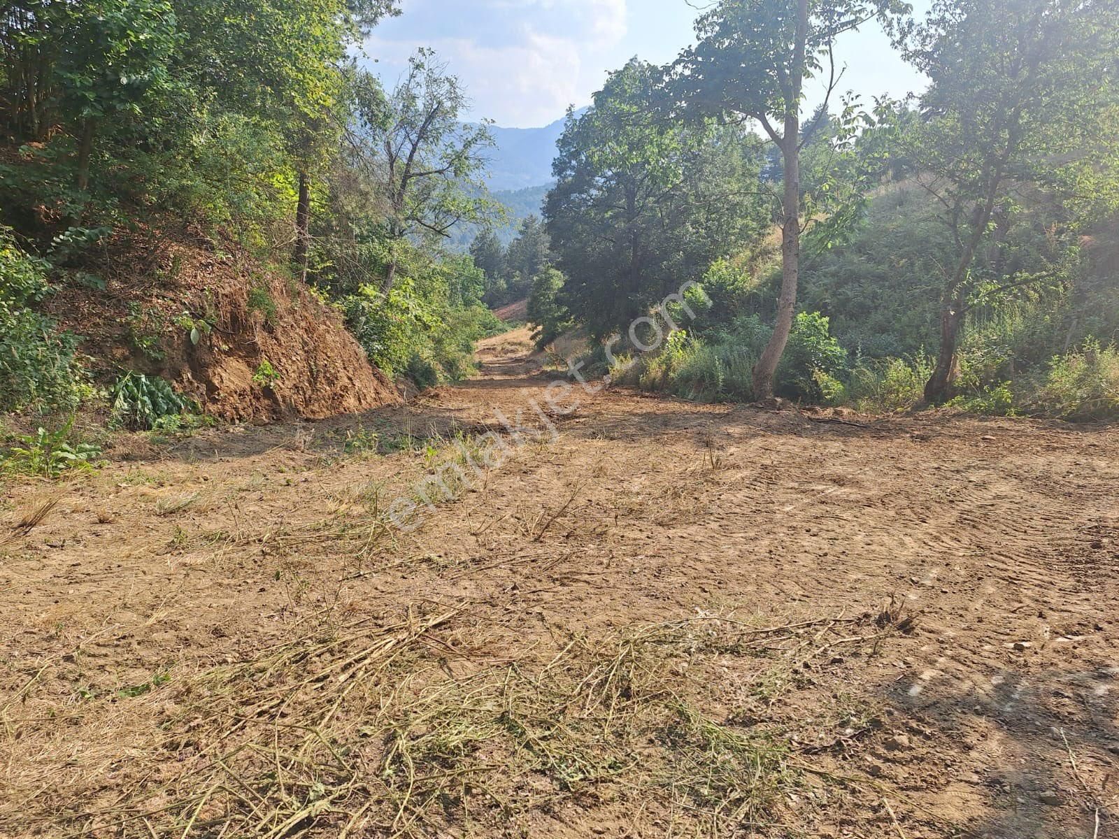 Berkay Emlaktan İmarlı Bahçe - Görsel 7