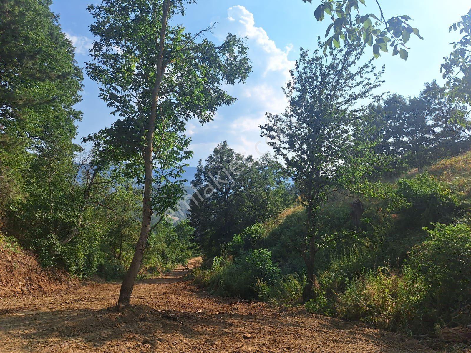 Berkay Emlaktan İmarlı Bahçe - Görsel 14