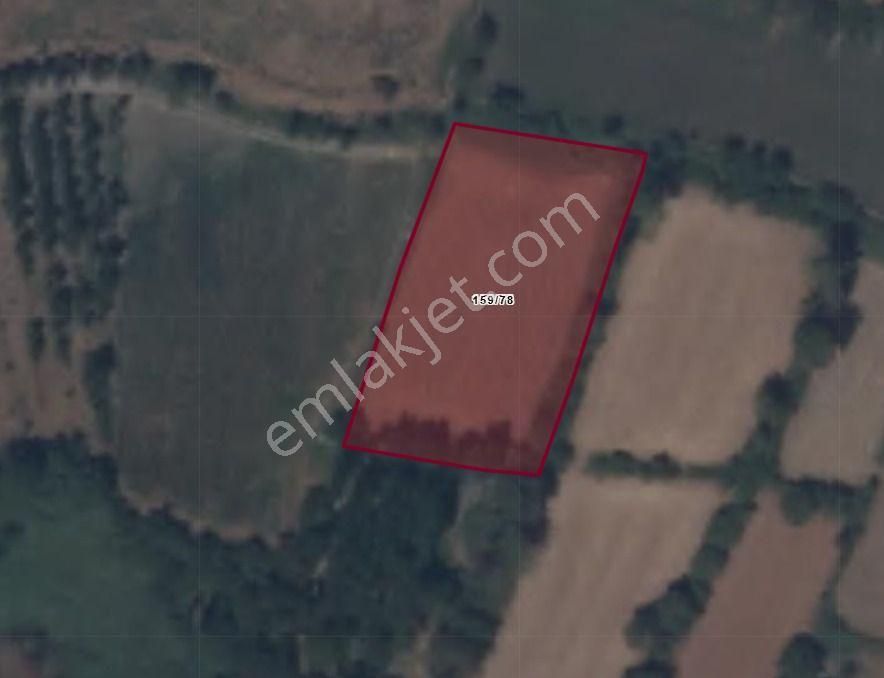 Beyağaç Tokilere Yakın Yatırımlık Tarla