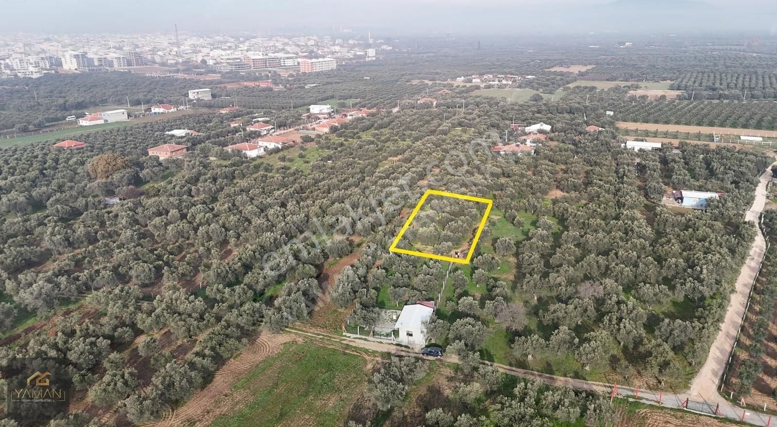 Efendi Mahallesinde İmara 275 Metre Uzaklıkta Satılık Zeytinlik - Görsel 6