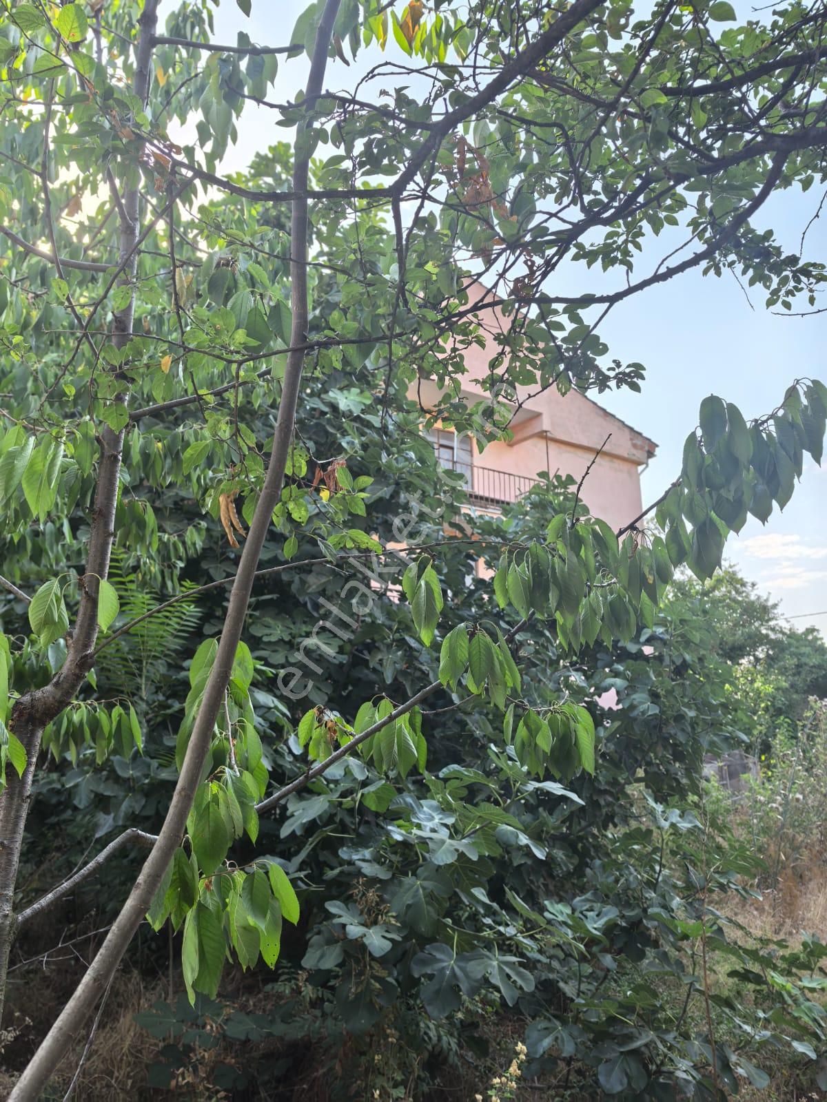 Bursa İnegöl Yeniceköyde 125 M2 2+1 Müstakil 3 Katlı Satılık Bina - Görsel 22