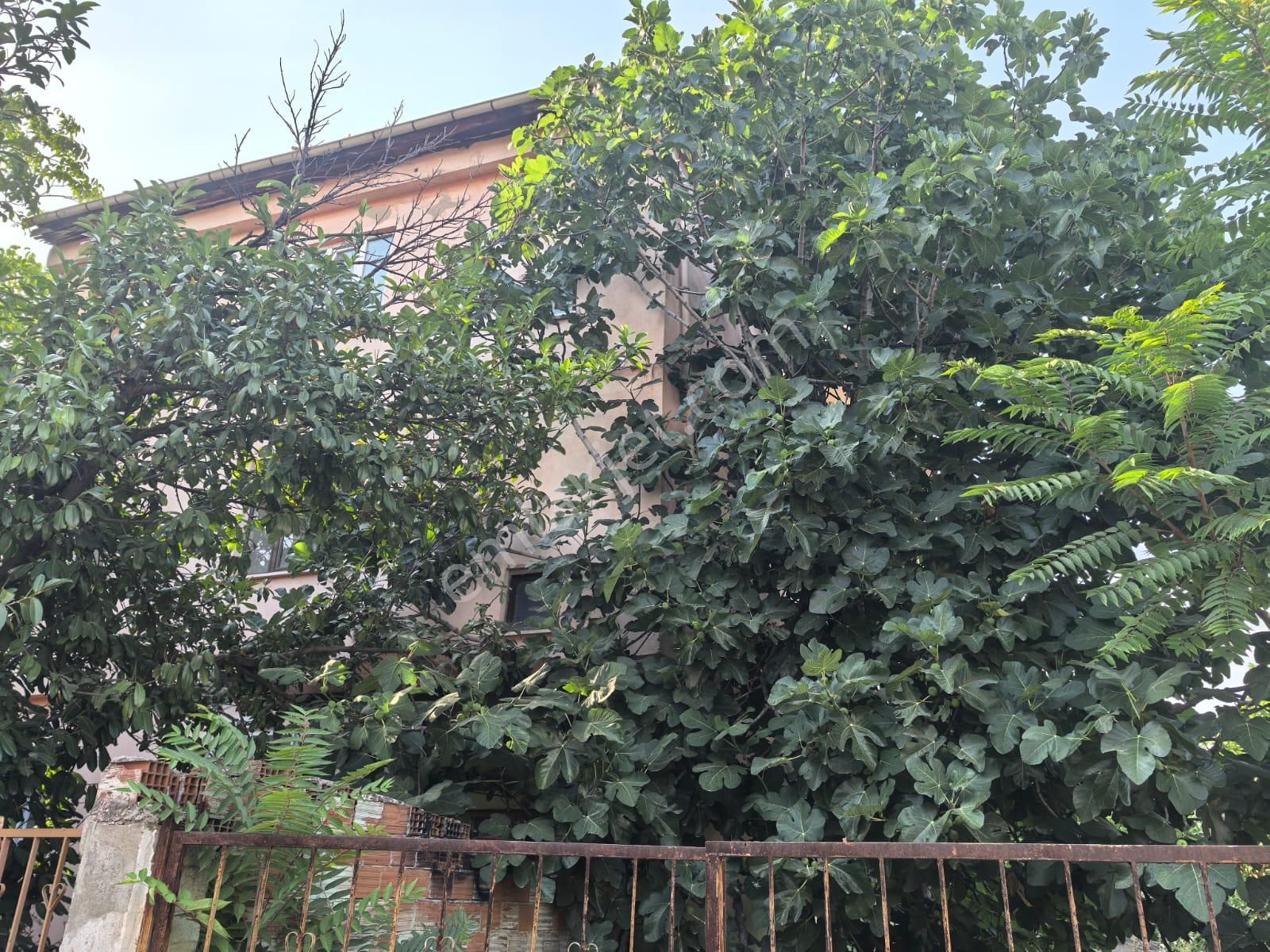 Bursa İnegöl Yeniceköyde 125 M2 2+1 Müstakil 3 Katlı Satılık Bina - Görsel 10