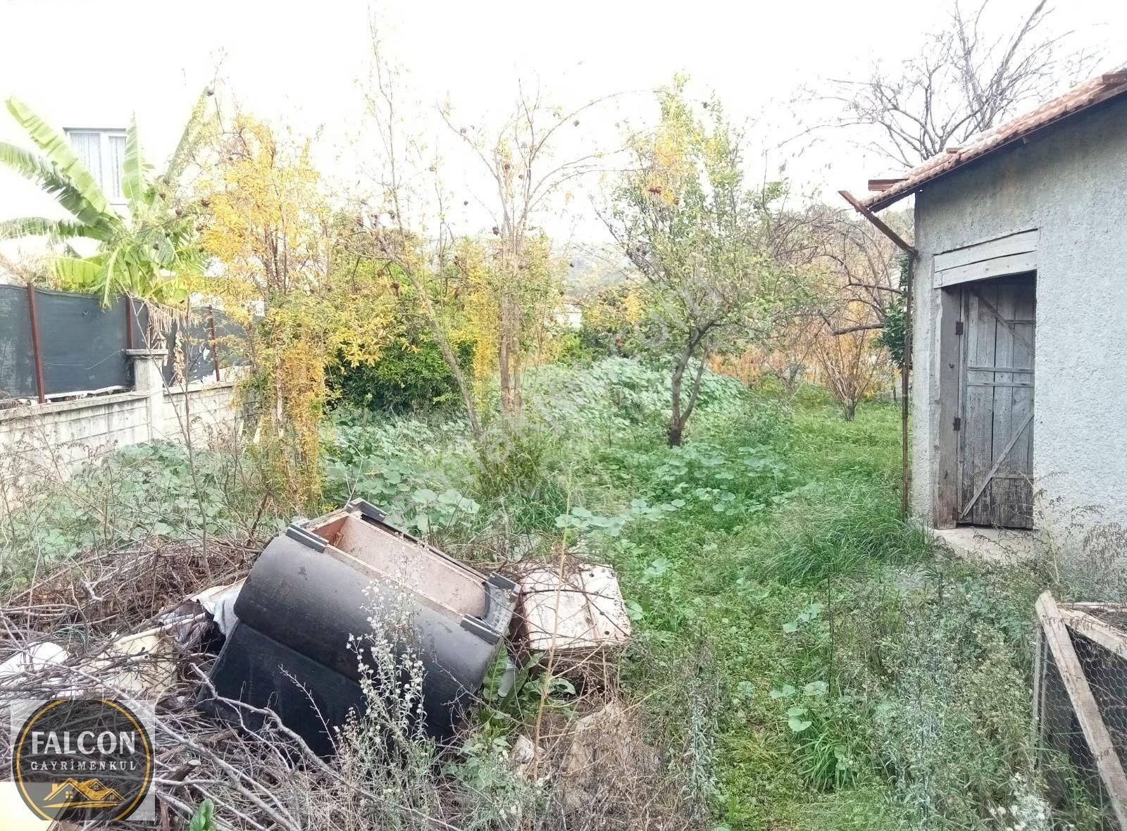 Falcon Dan Esenköy De Fırsat 731m² - Görsel 11