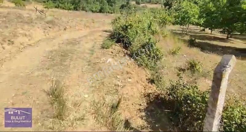 Hükümdar Bulut 'tan Yatırım Fırsatı 1.100m2 Ceviz Bahçesi - Görsel 5