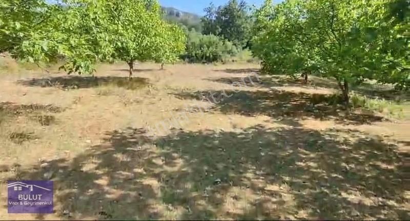 Hükümdar Bulut 'tan Yatırım Fırsatı 1.100m2 Ceviz Bahçesi - Görsel 6