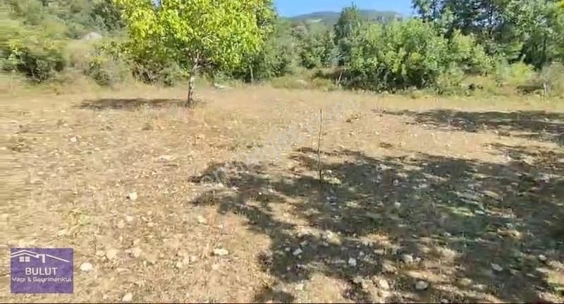 Hükümdar Bulut 'tan Yatırım Fırsatı 1.100m2 Ceviz Bahçesi - Görsel 12